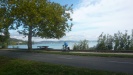Balaton & Żwawe Dziadki
